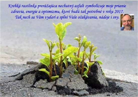 pf-2017-ostatni.jpg