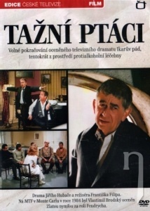 tazni-ptaci.jpg