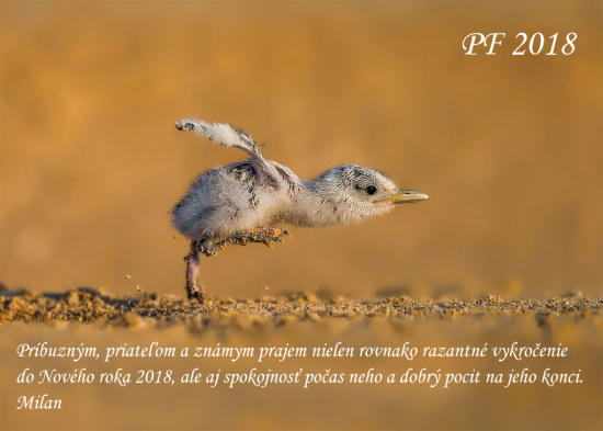 pf-2018.jpg