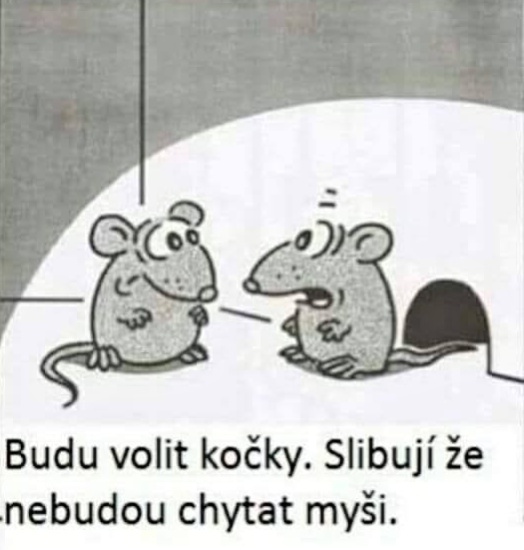 kantorek-buduvolitk.jpg