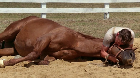 phar-lap.jpg