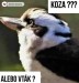 koza alebo vtak