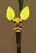 usata orchidea