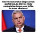 zaplava forintov
