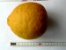 20130508a citron