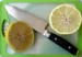 20130519 citron